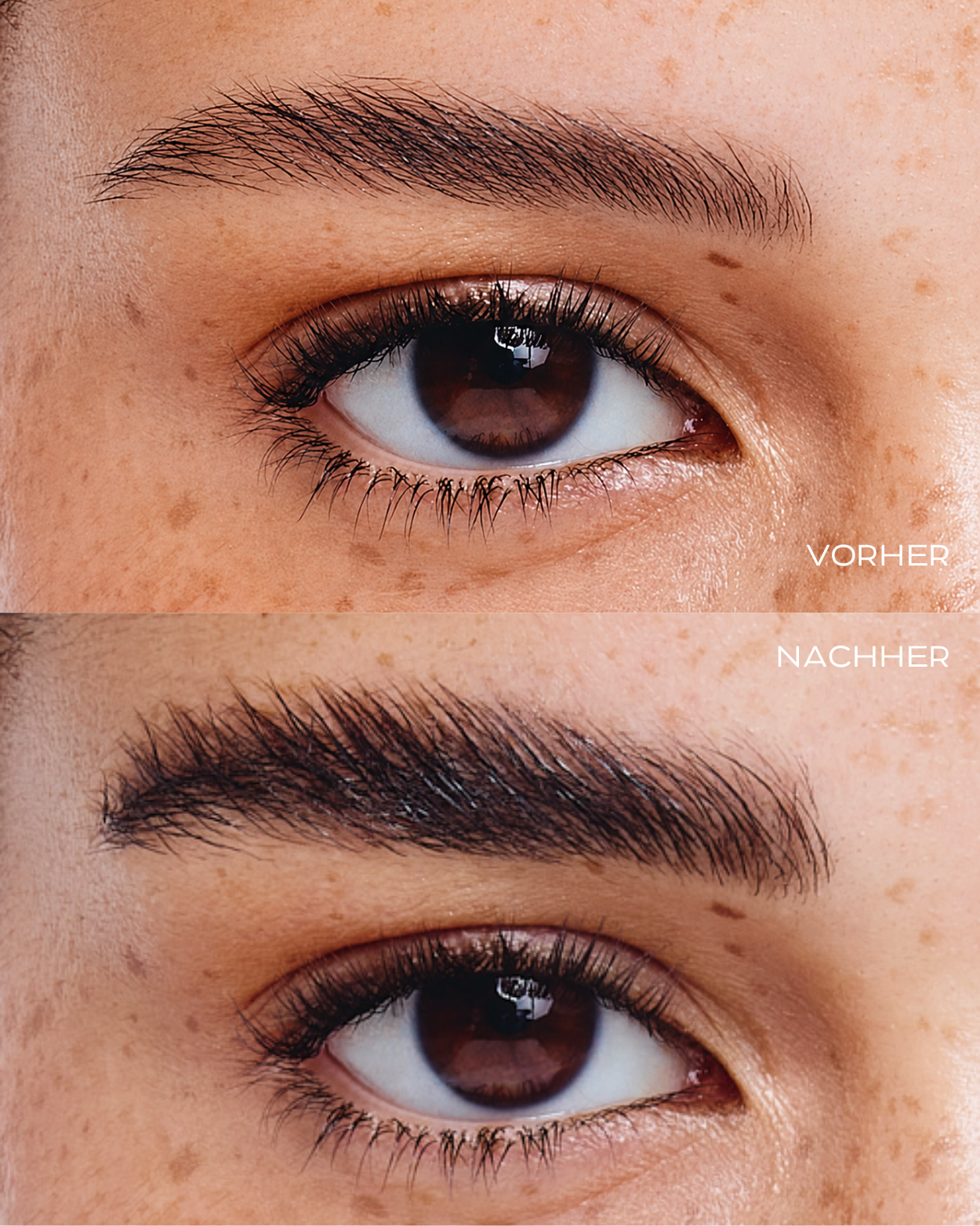 MAX OUT Brow Serum