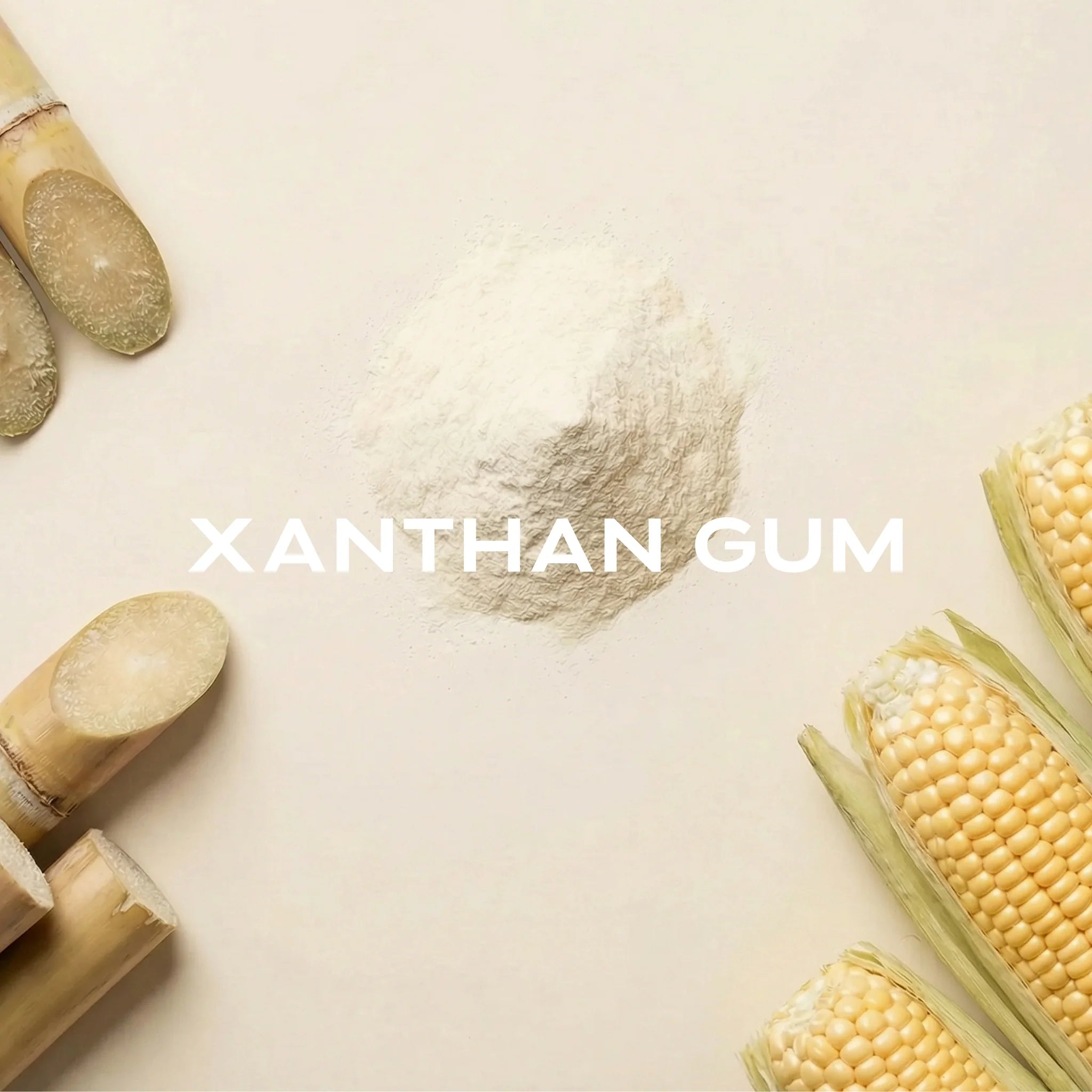 XANTHAN GUM